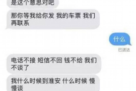 嵊州为什么选择专业追讨公司来处理您的债务纠纷？